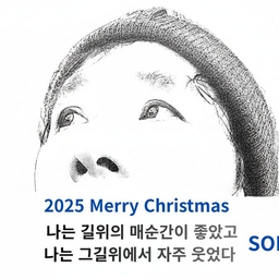 피드에 업로드 된 이미지