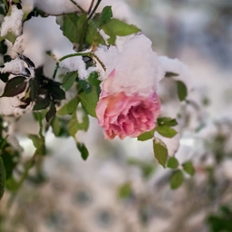 피드에 업로드 된 이미지