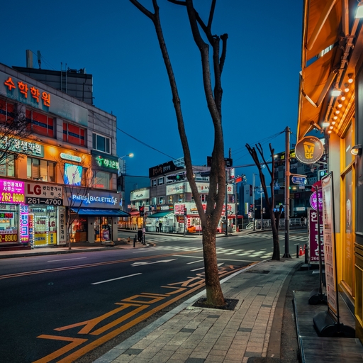 피드 이미지