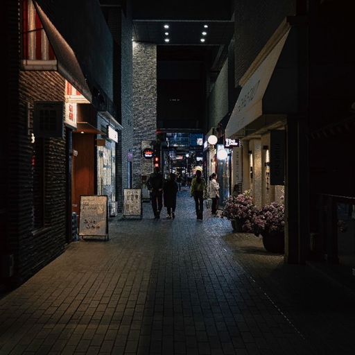 피드 이미지