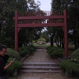 피드에 업로드 된 이미지