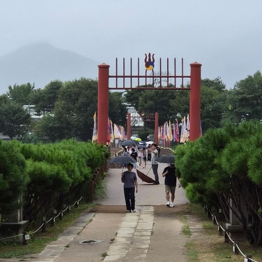 피드 이미지