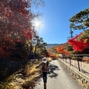 피드 작성자 프로필