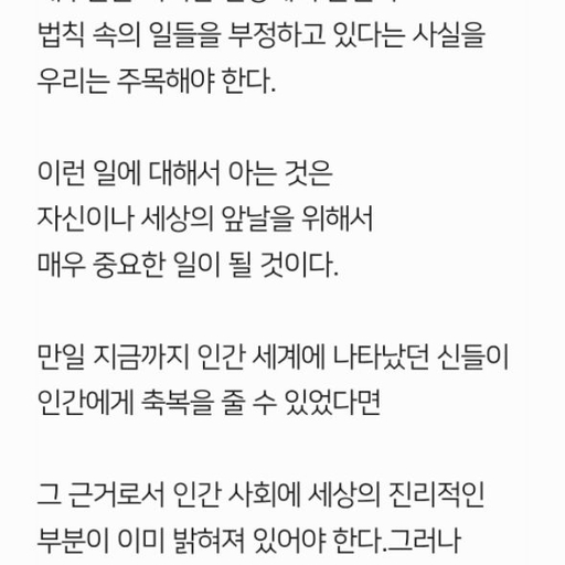 피드 이미지