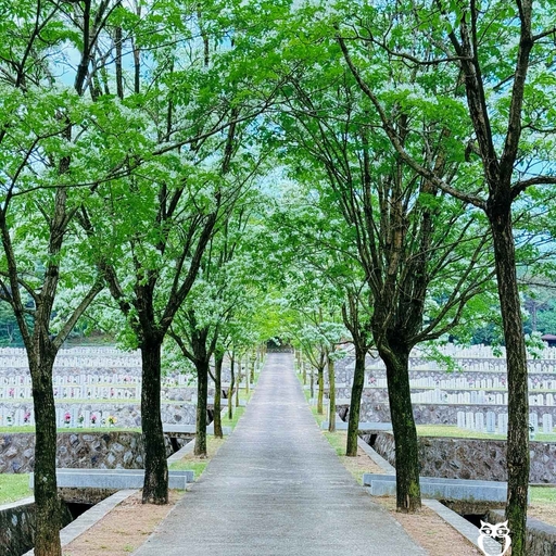 피드 이미지