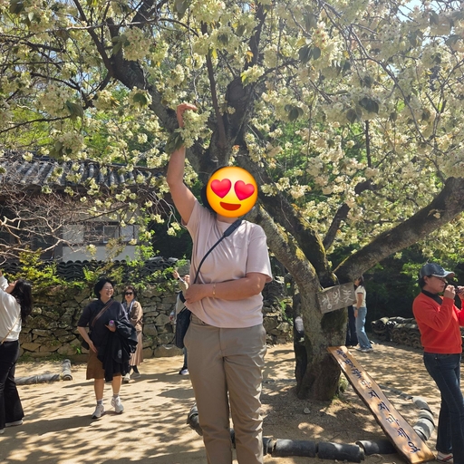 피드 이미지