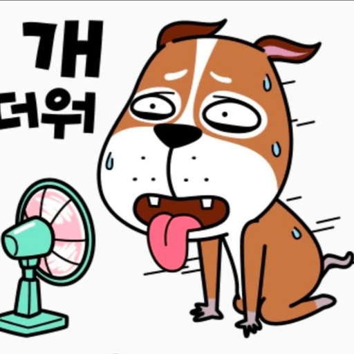 피드 이미지