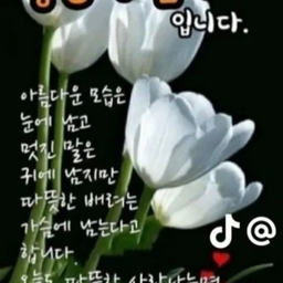 피드에 업로드 된 이미지