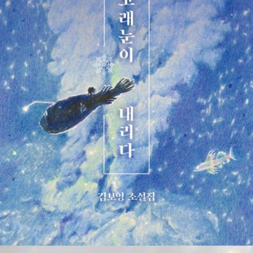 피드 이미지