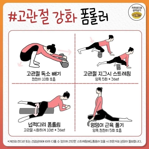 피드 이미지