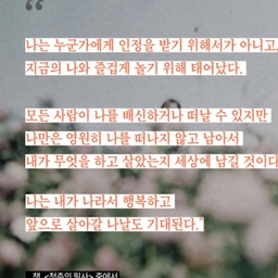 피드에 업로드 된 이미지