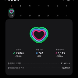 피드에 업로드 된 이미지