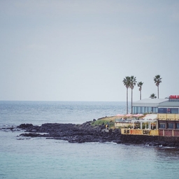 피드에 업로드 된 이미지