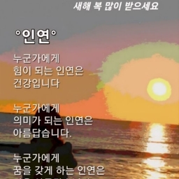 피드에 업로드 된 이미지