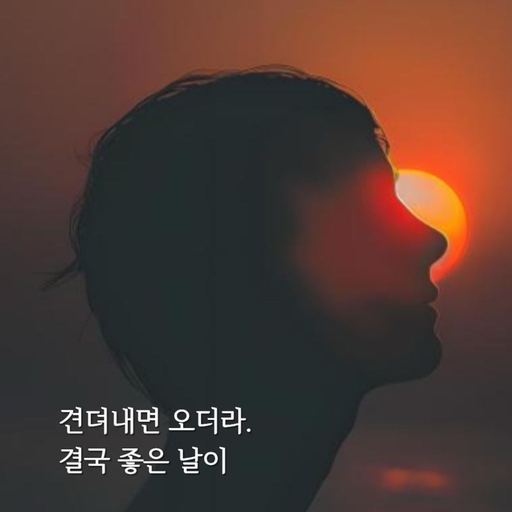 피드 이미지