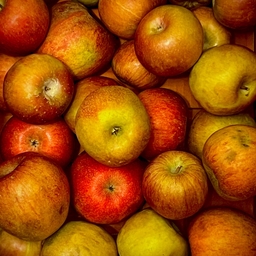 피드에 업로드 된 이미지