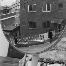 피드에 업로드 된 이미지