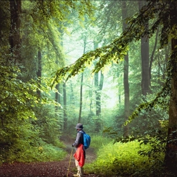 피드에 업로드 된 이미지