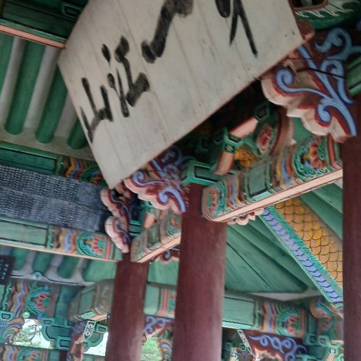 피드 이미지