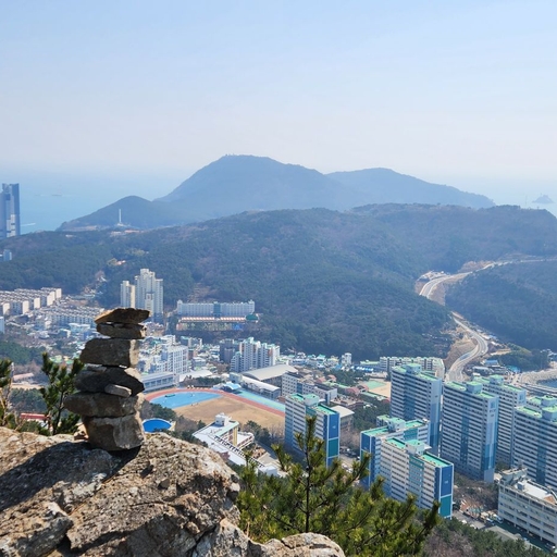 피드 이미지