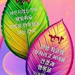 피드에 업로드 된 이미지