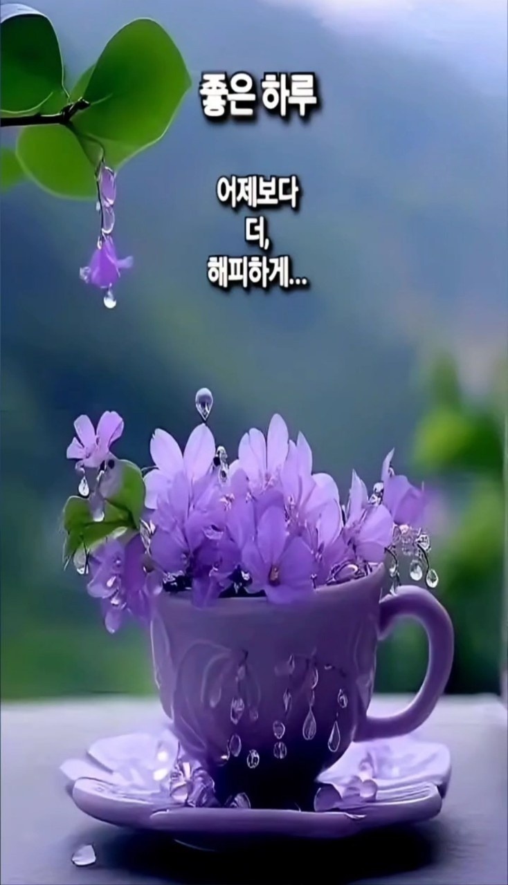 모임 이미지