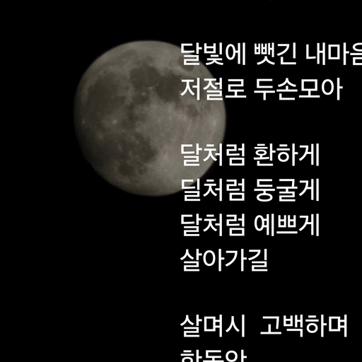 피드 이미지