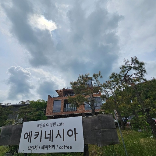 피드 이미지