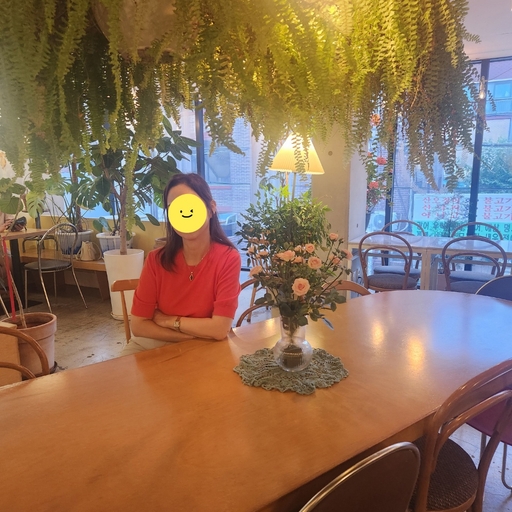 피드 이미지