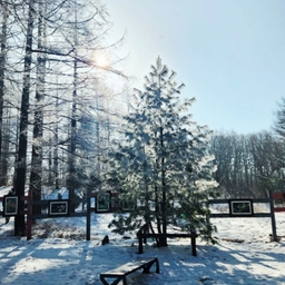 피드에 업로드 된 이미지