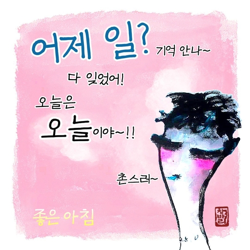피드 이미지