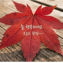 모임 이미지