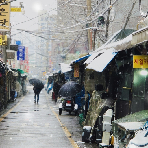 피드 이미지