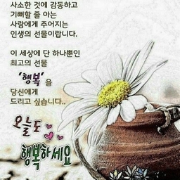 피드에 업로드 된 이미지