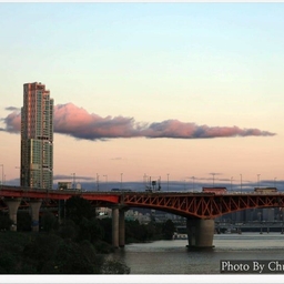 피드에 업로드 된 이미지