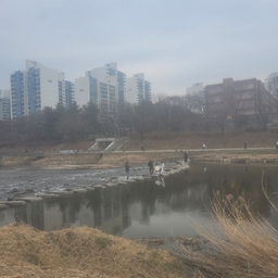 피드에 업로드 된 이미지