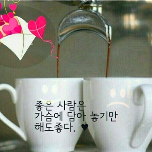 피드 이미지