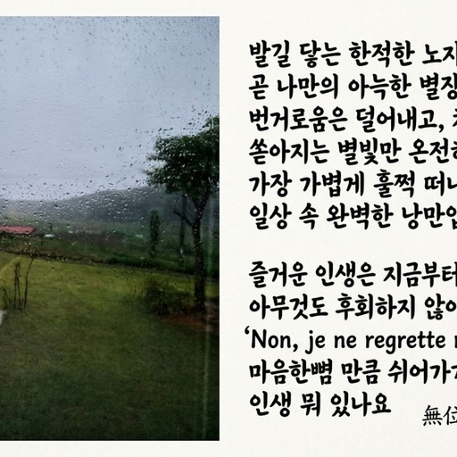 피드 이미지
