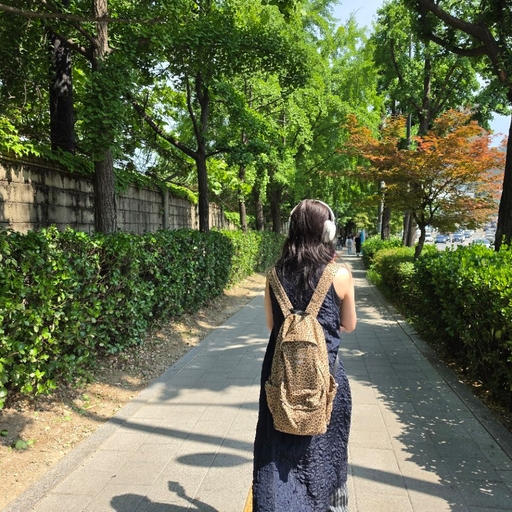 피드 이미지