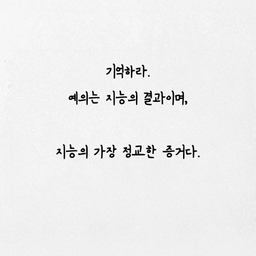 피드에 업로드 된 이미지