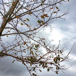 ํผ๋์ ์
๋ก๋ ๋ ์ด๋ฏธ์ง