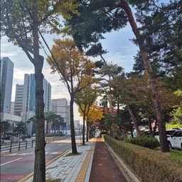 피드에 업로드 된 이미지