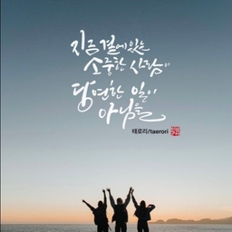 피드에 업로드 된 이미지