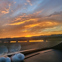 피드에 업로드 된 이미지