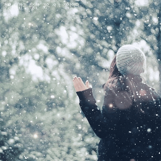 피드에 업로드 된 이미지