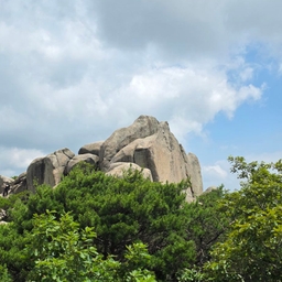 피드에 업로드 된 이미지