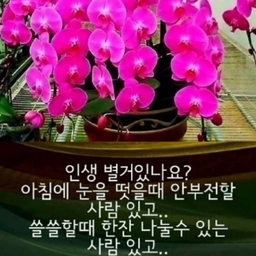 피드에 업로드 된 이미지