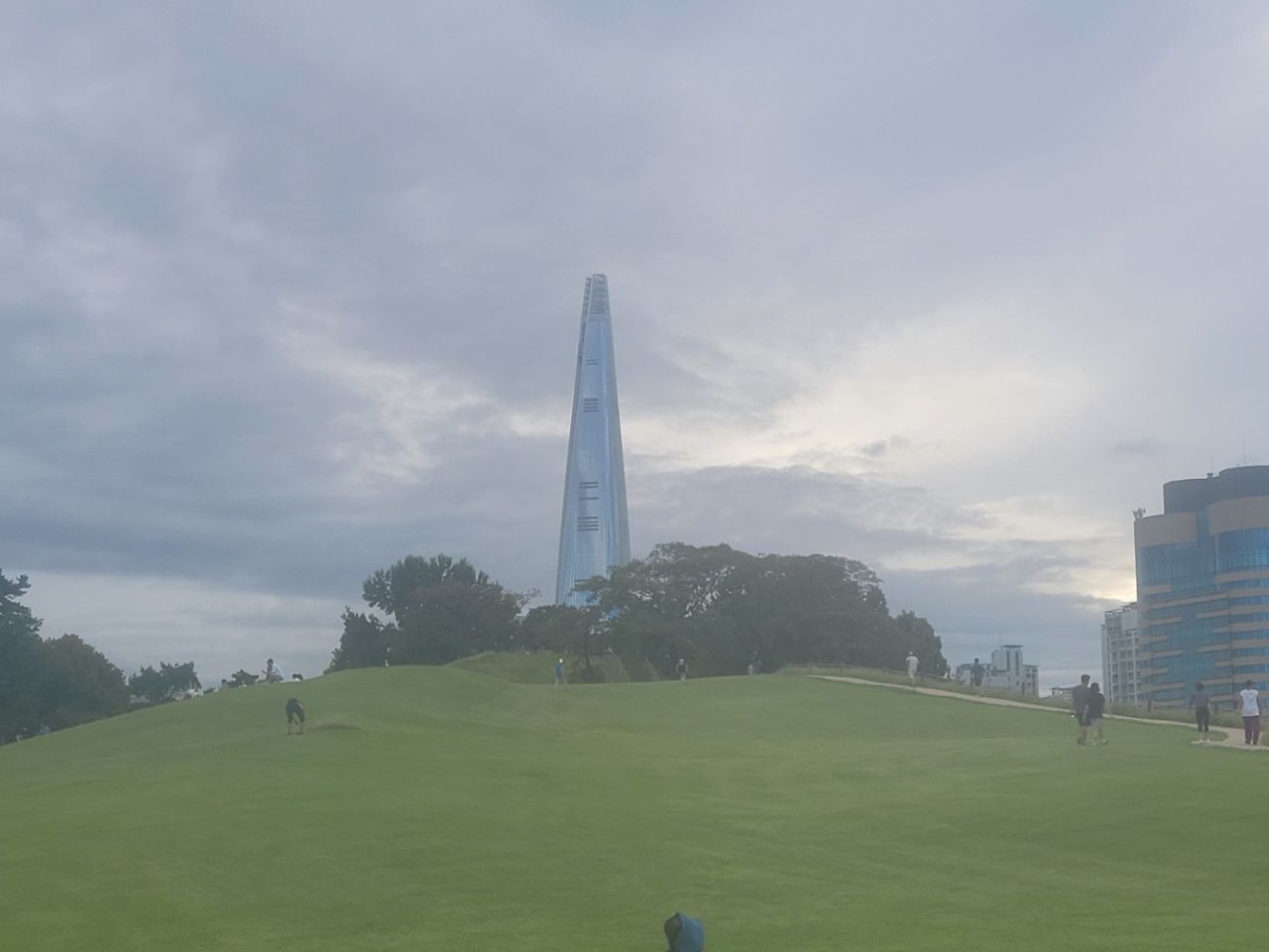 피드 이미지