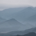 멤버 프로필