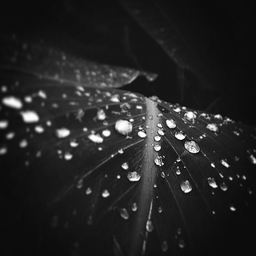 ํผ๋์ ์
๋ก๋ ๋ ์ด๋ฏธ์ง